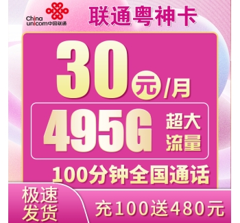 联通粤神卡30元495G+100分钟